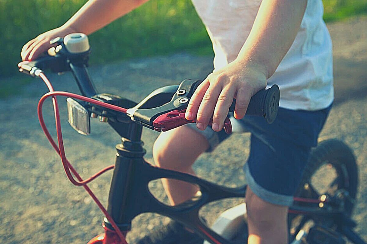 12 and 14 Inch Kids Bikes (2022 Review 